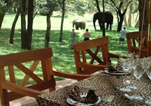 elephant_safari_lodge2.jpg